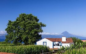 Casas Dos Vimes