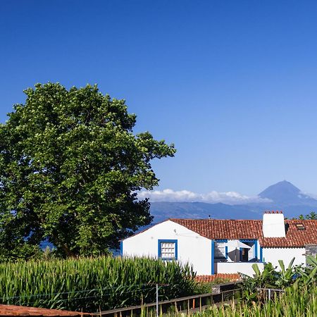 Villa Casas Dos Vimes à Faja dos Vimes Extérieur photo