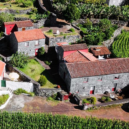 Villa Casas Dos Vimes à Faja dos Vimes Extérieur photo