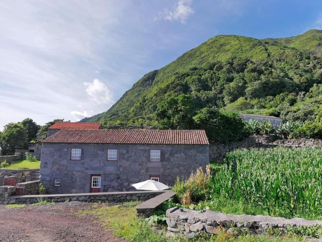 Villa Casas Dos Vimes à Faja dos Vimes Extérieur photo