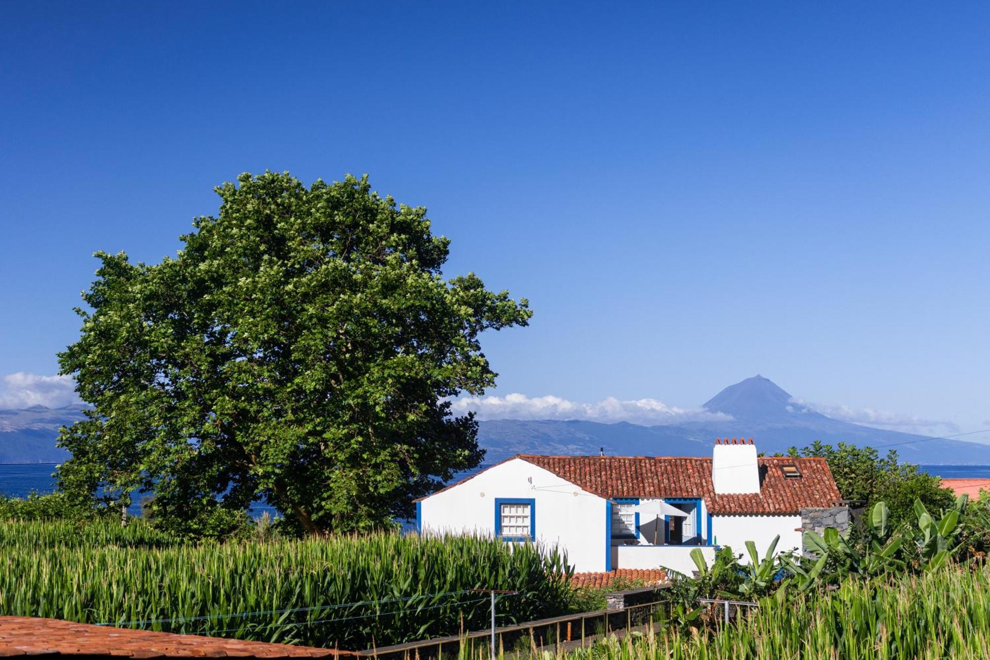 Villa Casas Dos Vimes à Faja dos Vimes Extérieur photo