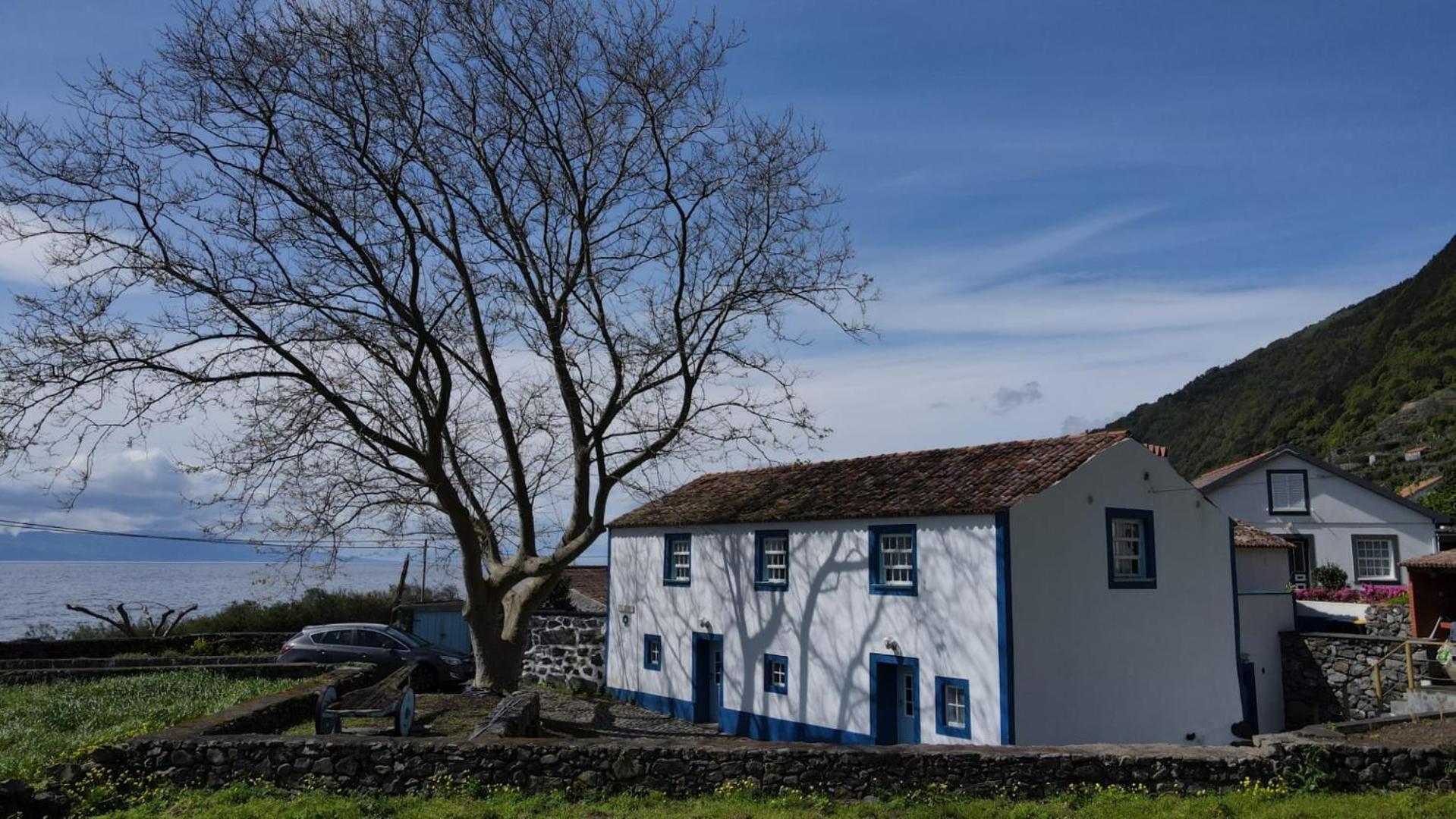 Villa Casas Dos Vimes à Faja dos Vimes Extérieur photo