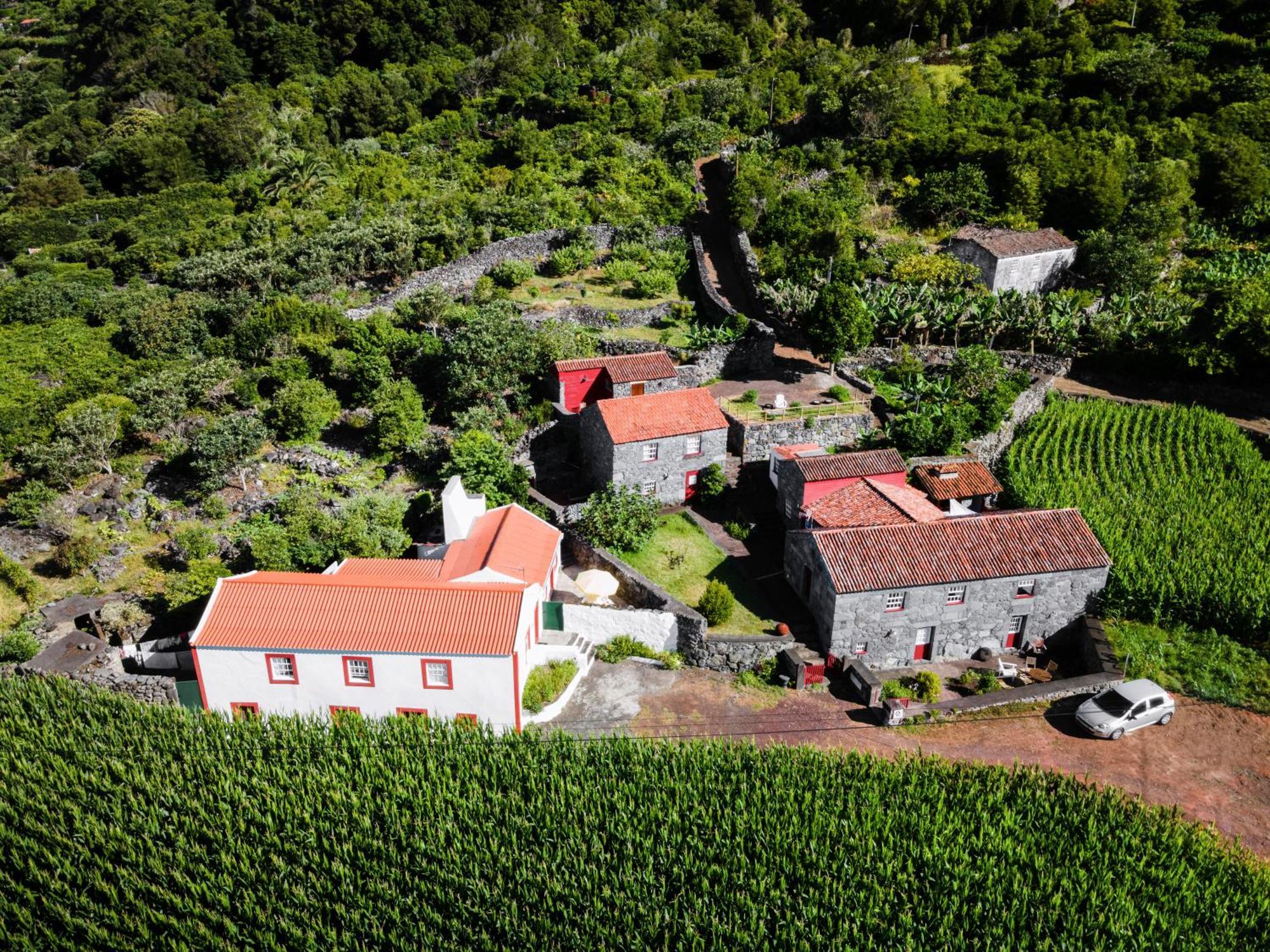 Villa Casas Dos Vimes à Faja dos Vimes Extérieur photo